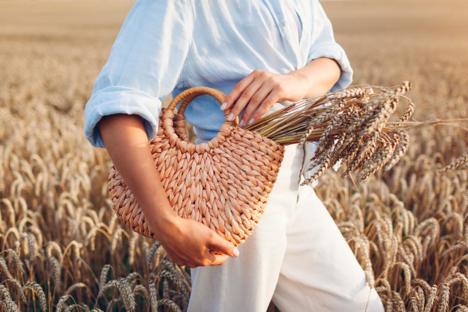 Close up of straw handbag filled with wheat. Woman holding summer purse with bundle of wheat in field at sunset