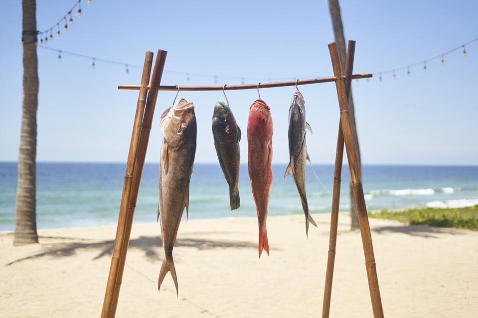 _Conrad _StudioCaribe DSC05189