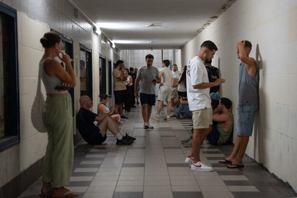 Picture from shelter