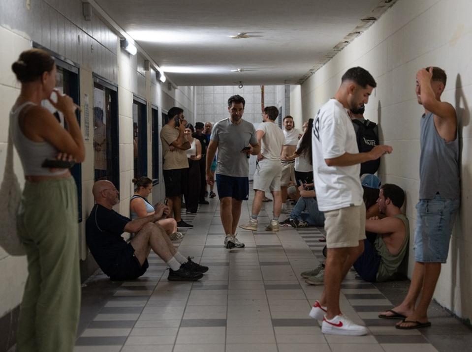 Picture from shelter