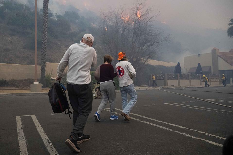Feroz incendio forestal en Los Ángeles