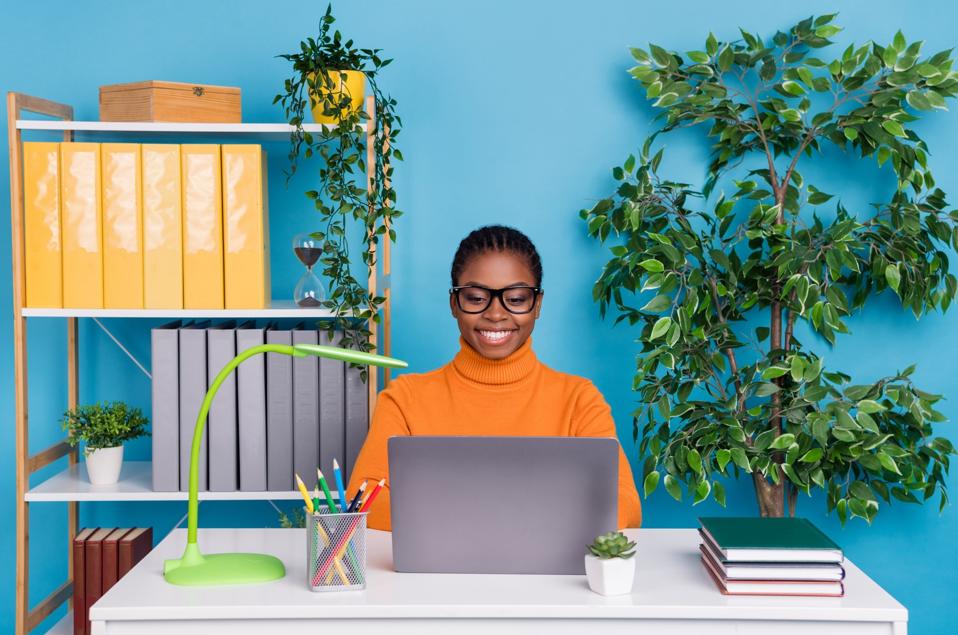 Portrait of attractive cheery focused girl expert using laptop writing email letter isolated over blue color background