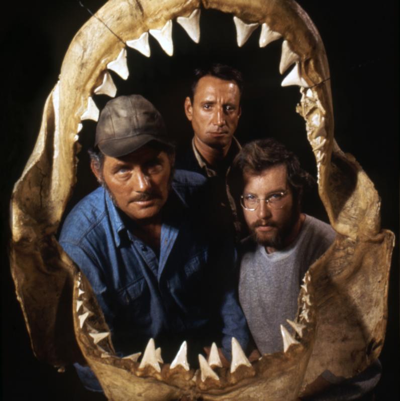 Stars Of Jaws