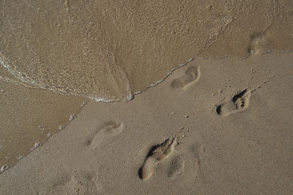 Travel Destination: North Sea Coast Of Germany