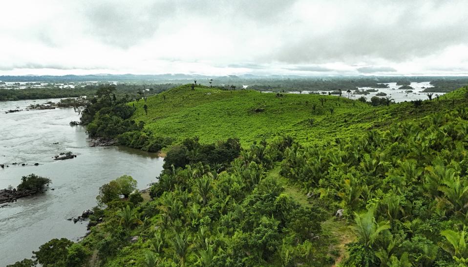 BRAZIL-ENVIRONMENT-AMAZON-INDIGENOUS-LAND