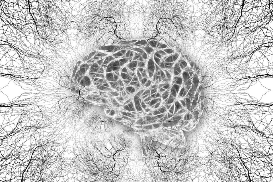 Neurons
