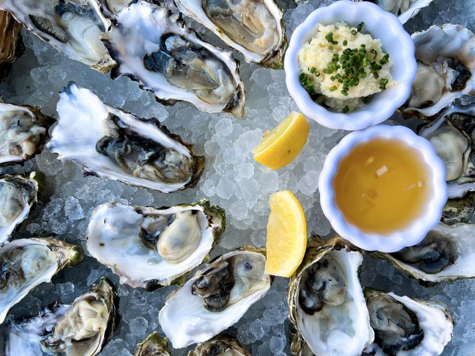 High angle view of oysters on table,San Diego,California,United States,USA