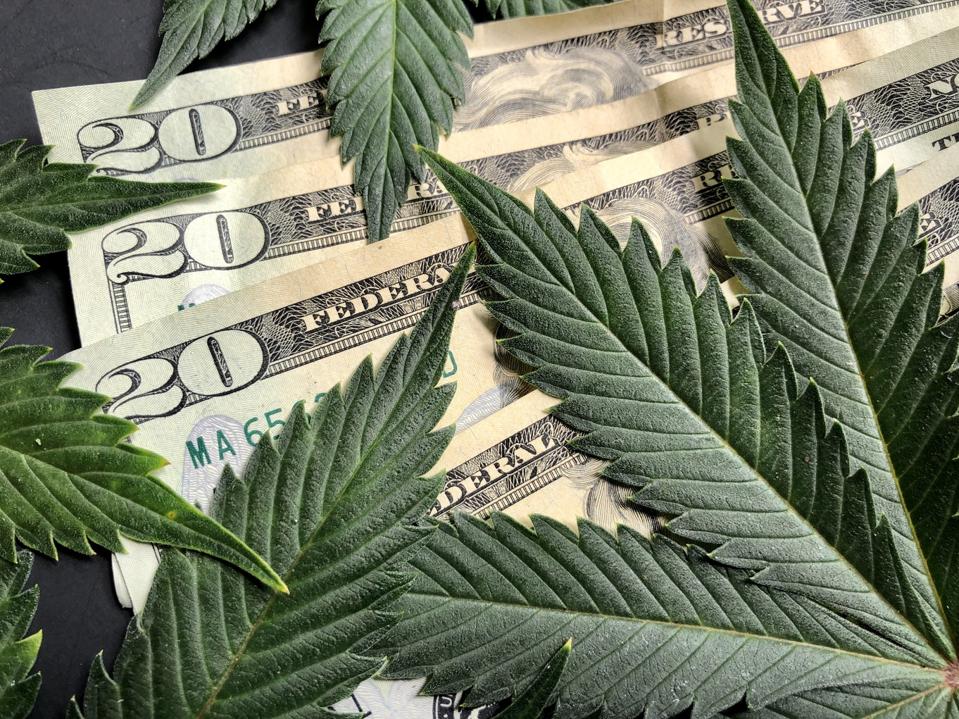 Cannabis leaves with American twenty dollar bills