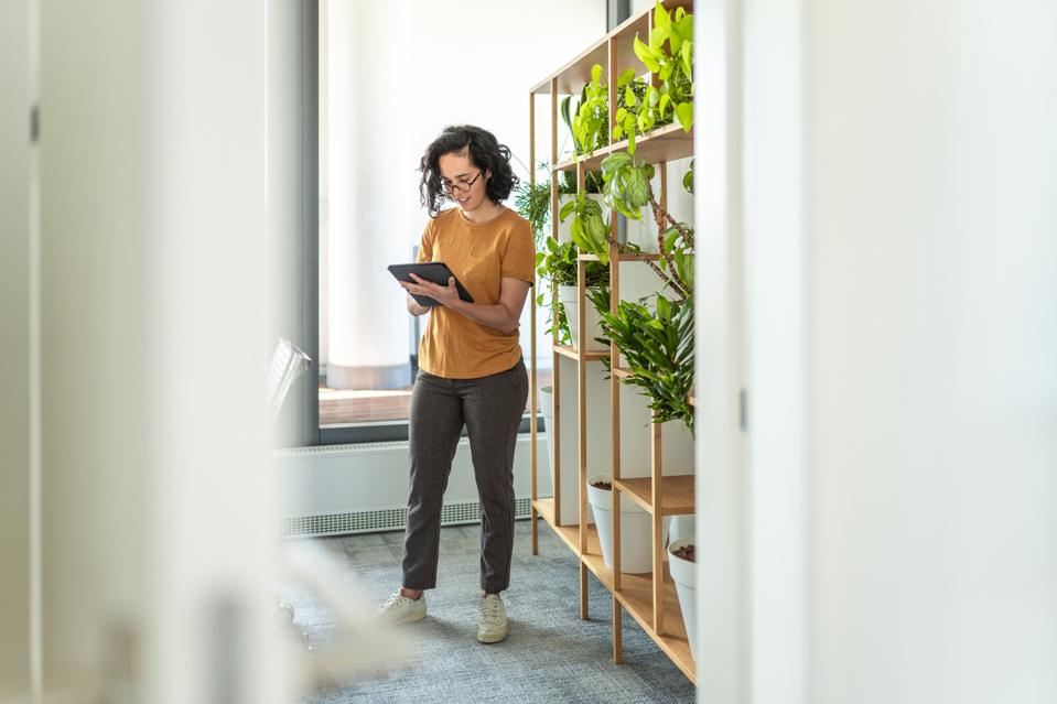 Cheerful Hispanic Businesswoman Using Digital Tablet In Office