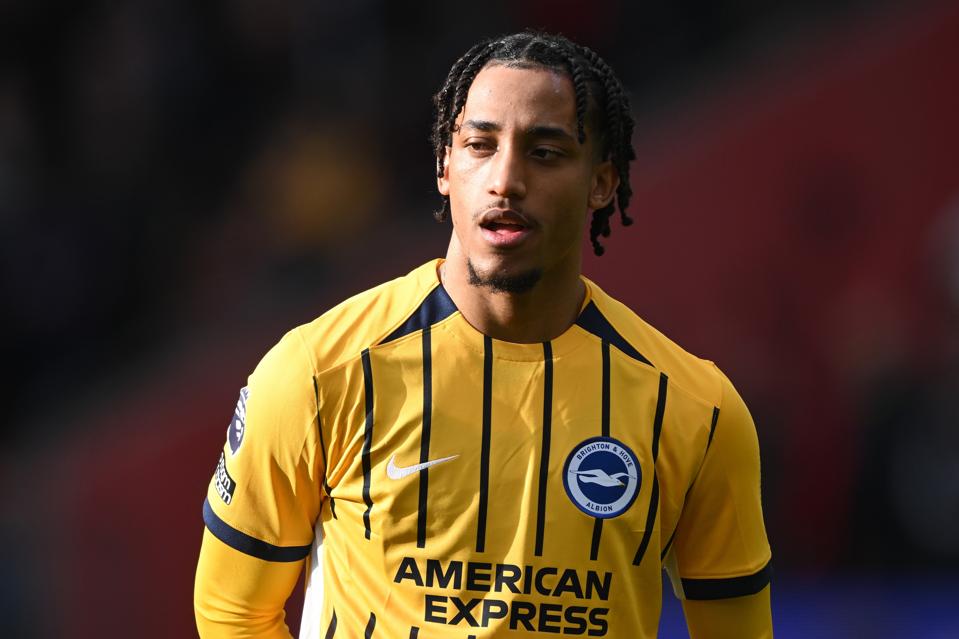 Southampton FC v Brighton & Hove Albion FC - Premier League