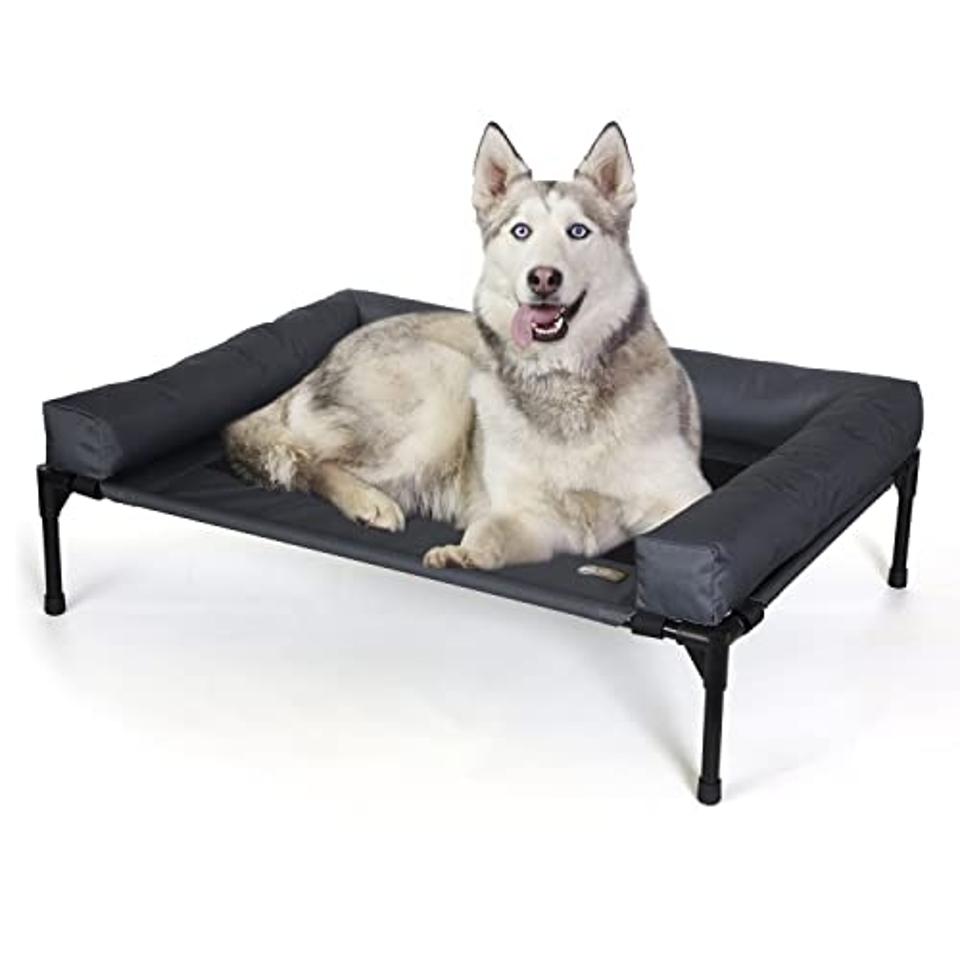 Dog Trainers How To Train A Dog To Sleep On A Dog Bed Dog Training