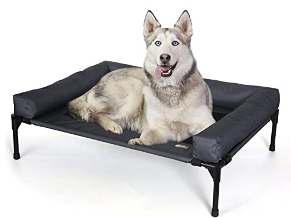 Dog Trainers How To Train A Dog To Sleep On A Dog Bed Dog Training
