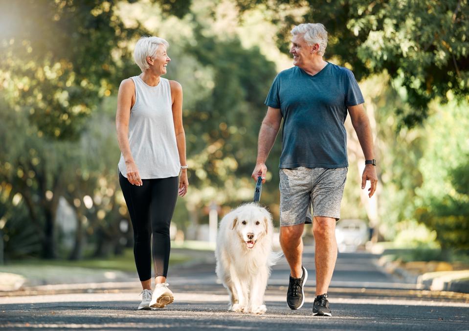Older couple walking with dog on tree-shaded path.