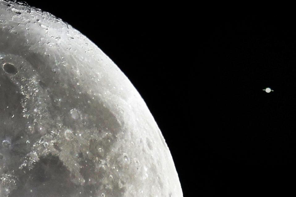 ⭐︎美品【moontreeplanet】MUSK wolk m on X