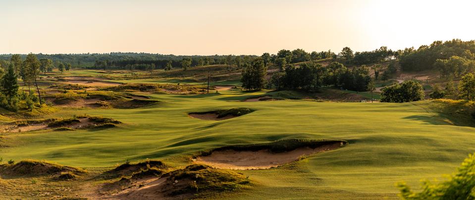 681292c0d569d86becd988a0_Banner