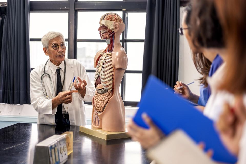 An experienced older Asian male professor is teaching human anatomy using human and organ models in the anatomy classroom, sharing his professional knowledge and experience with the younger generation of nursing and medical students.