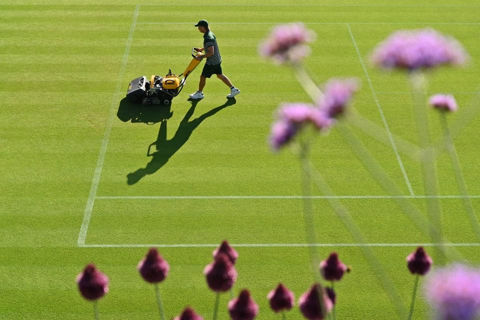 Wimbledon grass courts ball bounce speed