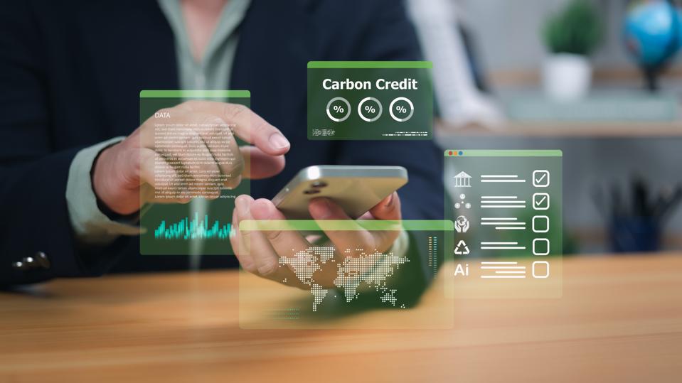 Carbon Credit Market