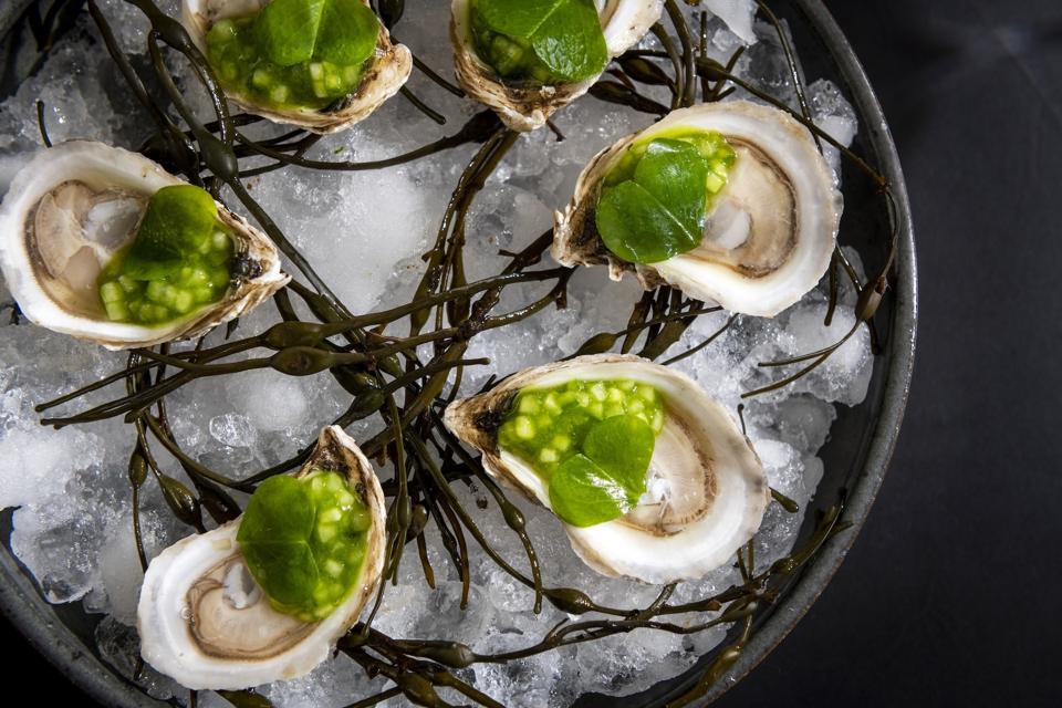 Oysters _ The Noortwyck