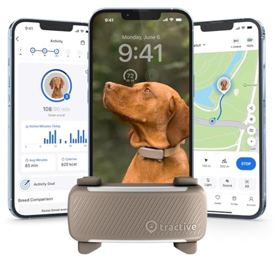 Cat Pod Dog Tracker Uk Best GPS Dog Trackers 2025 Forbes Vetted