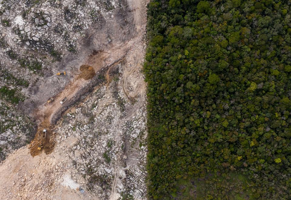 Deforestation in Cambodia. 