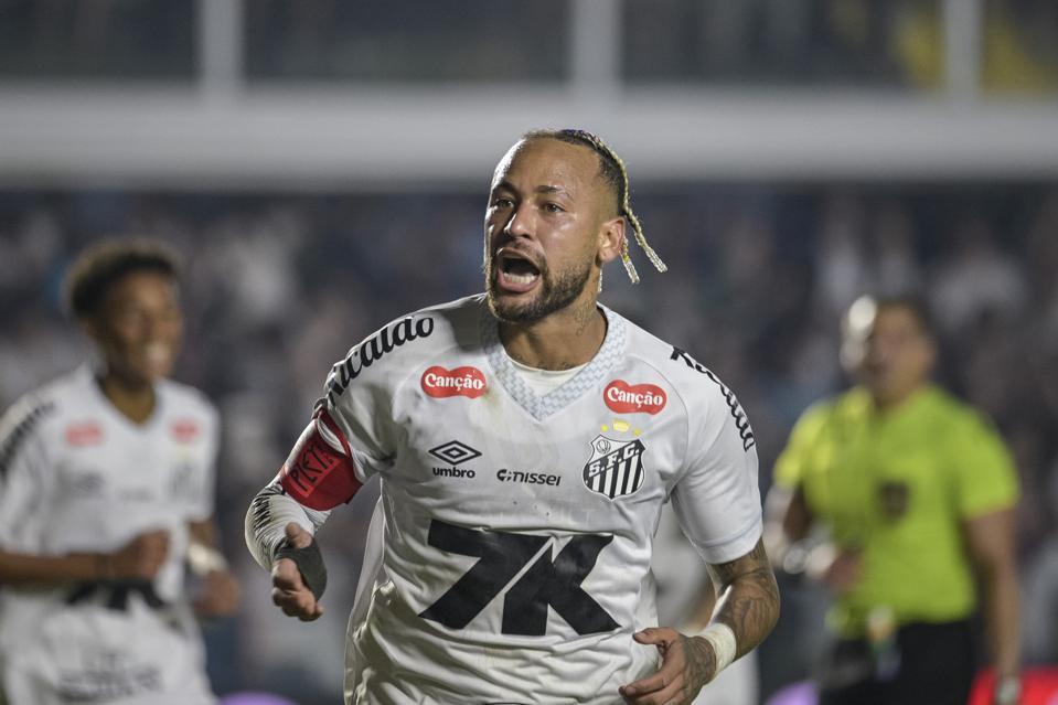 Santos v Flamengo - Brasileirao 2025
