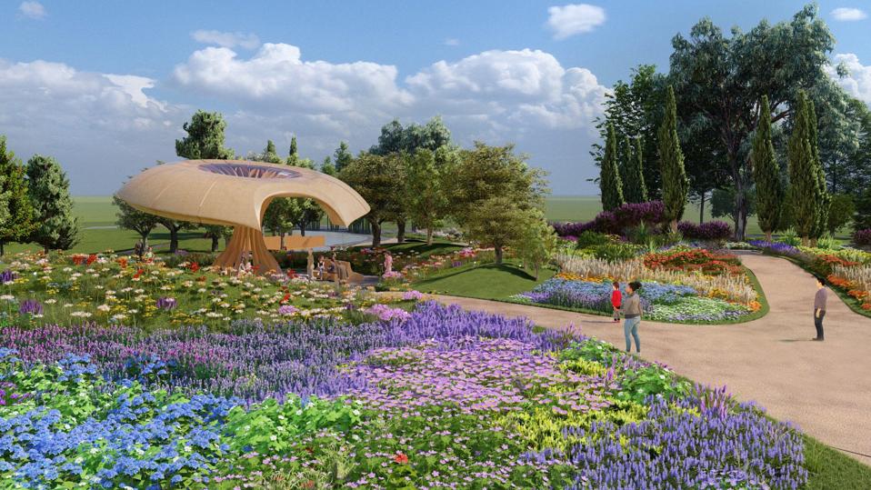 Carbon Garden design (c) Mizzi Studio (3) (1)