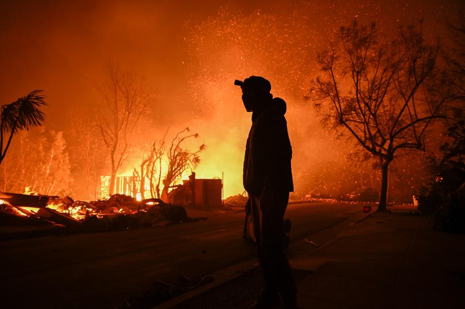 Wildfires tear through Los Angeles