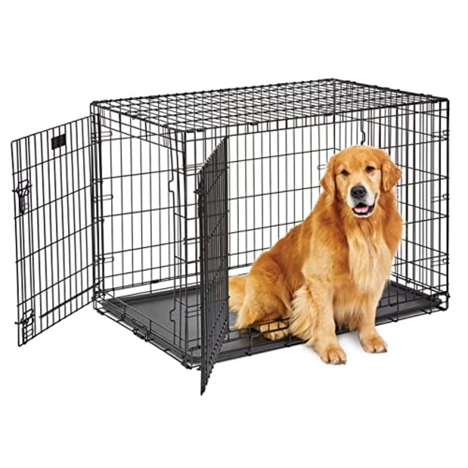 How Should a Dog Fit in a Crate: Perfect Size Tips for Comfort