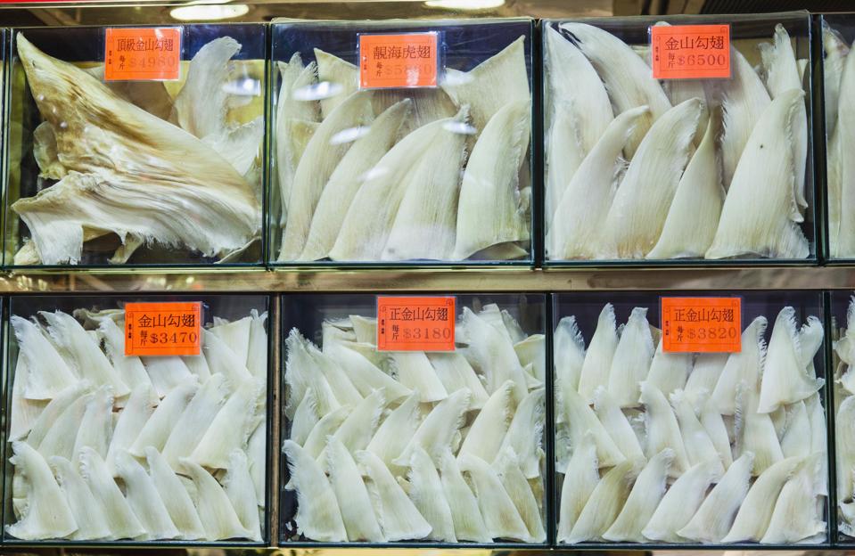 Dried shark fins for sale in a shop in Hong Kong, China.