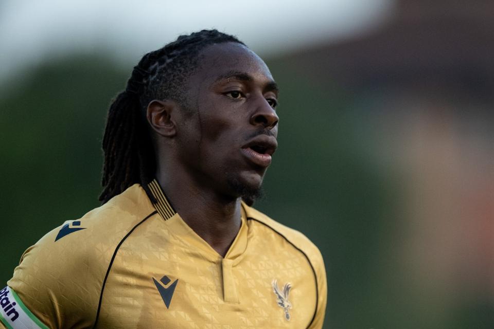 Crawley Town against Crystal Palace - Pre -season friendly