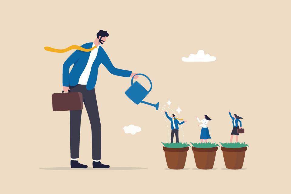 Talent development, career growth, training or coaching staff develop skill, employee improvement, HR human resources concept, businessman manager watering growth talented staff in grow seedling pot.