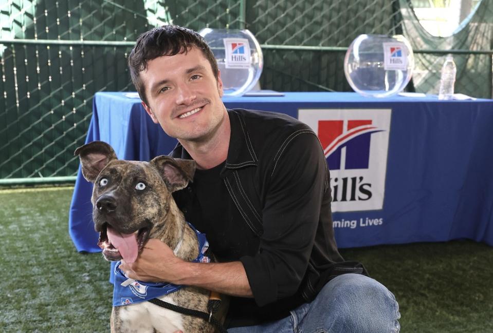Josh Hutcherson hugs a pit bull mix named Lula.