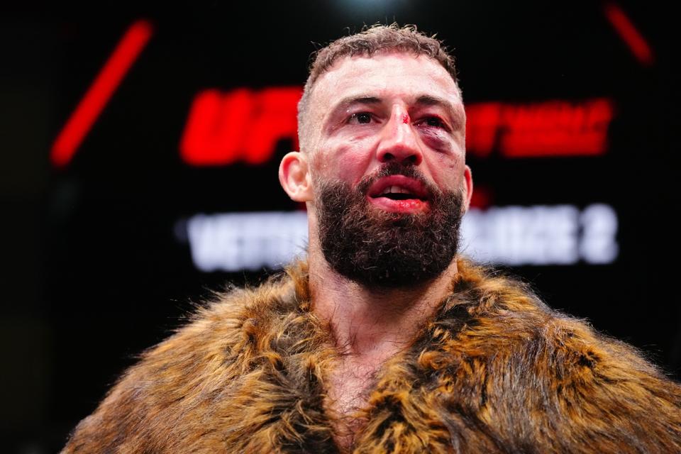 UFC Fight Night: Vettori v Dolidze 2