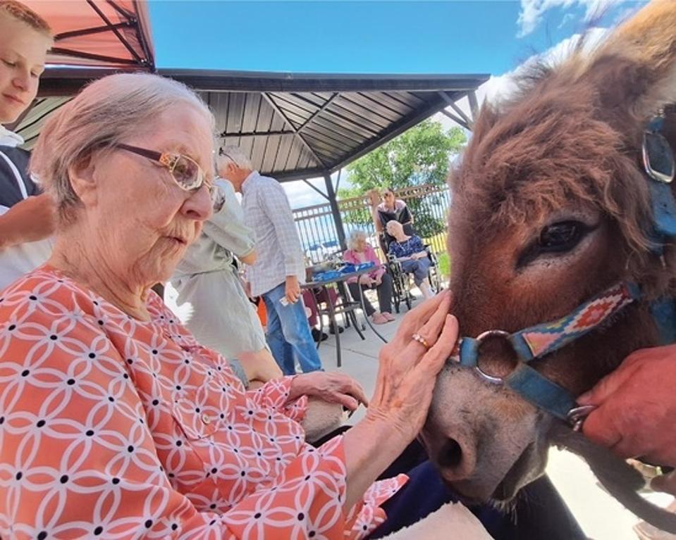 An elderly woman in a pink, floral patterned top pets a Shetland pony on a large patio area with gazebos. A teenage boy stands behind her, and other older people are standing and sitting about.