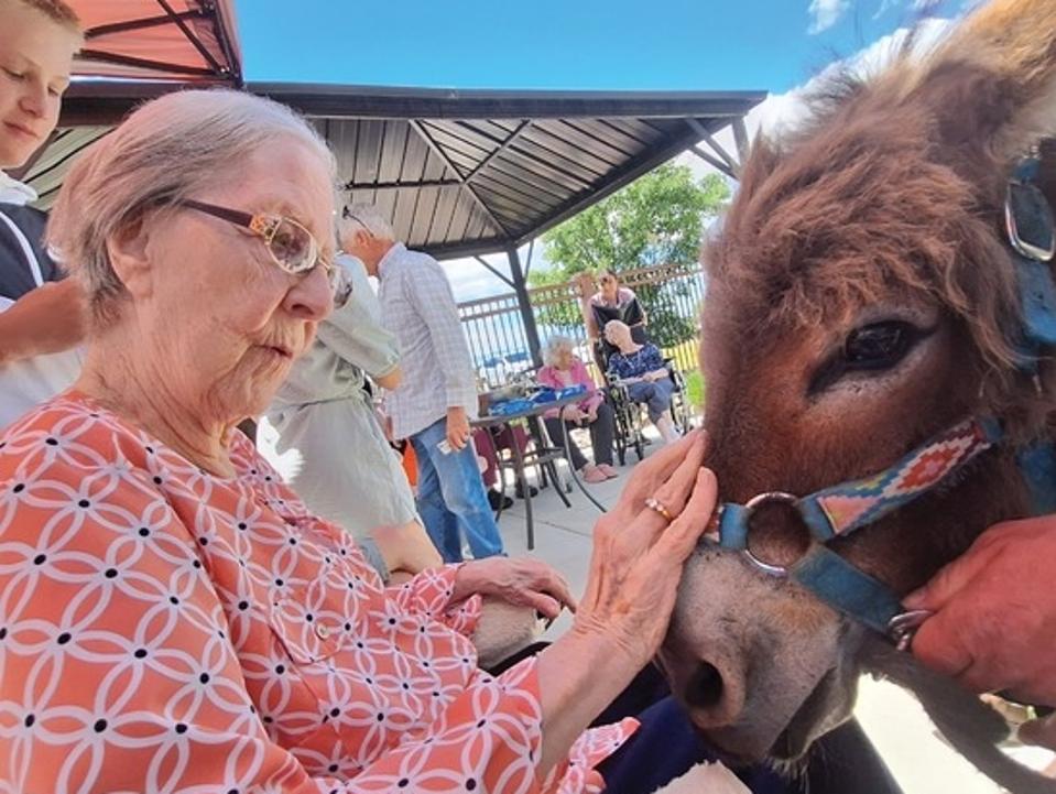 An elderly woman in a pink, floral patterned top pets a Shetland pony on a large patio area with gazebos. A teenage boy stands behind her, and other older people are standing and sitting about.