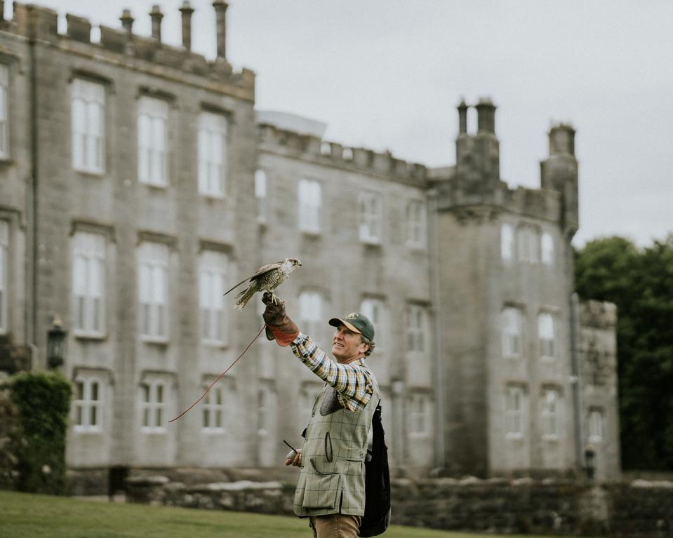 Falconry at Dromoland Castle showcases a living piece of Ireland’s heritage.