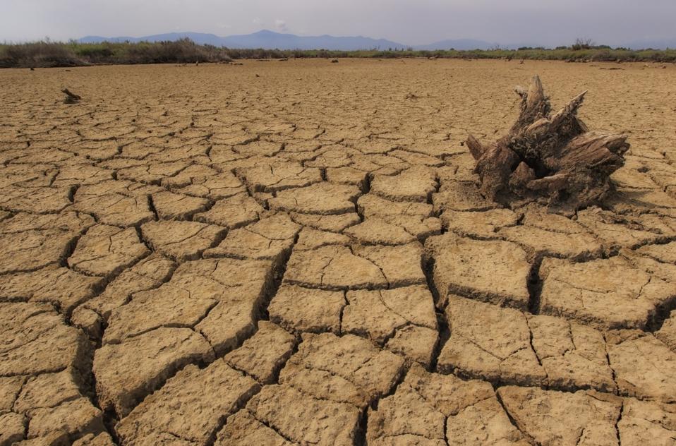 Drought (arid soil)