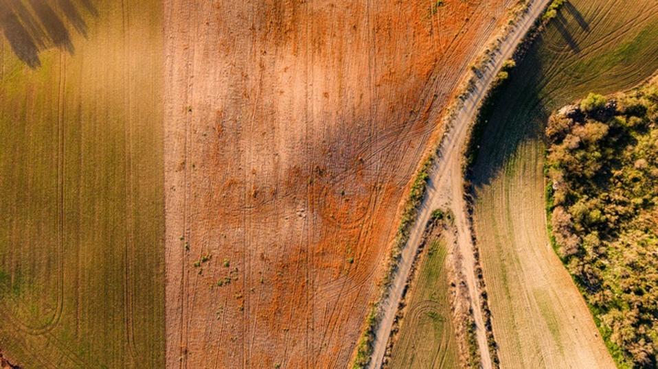 Aerial and top-down view of the textures of crop fields at sunset, agriculture concepts.