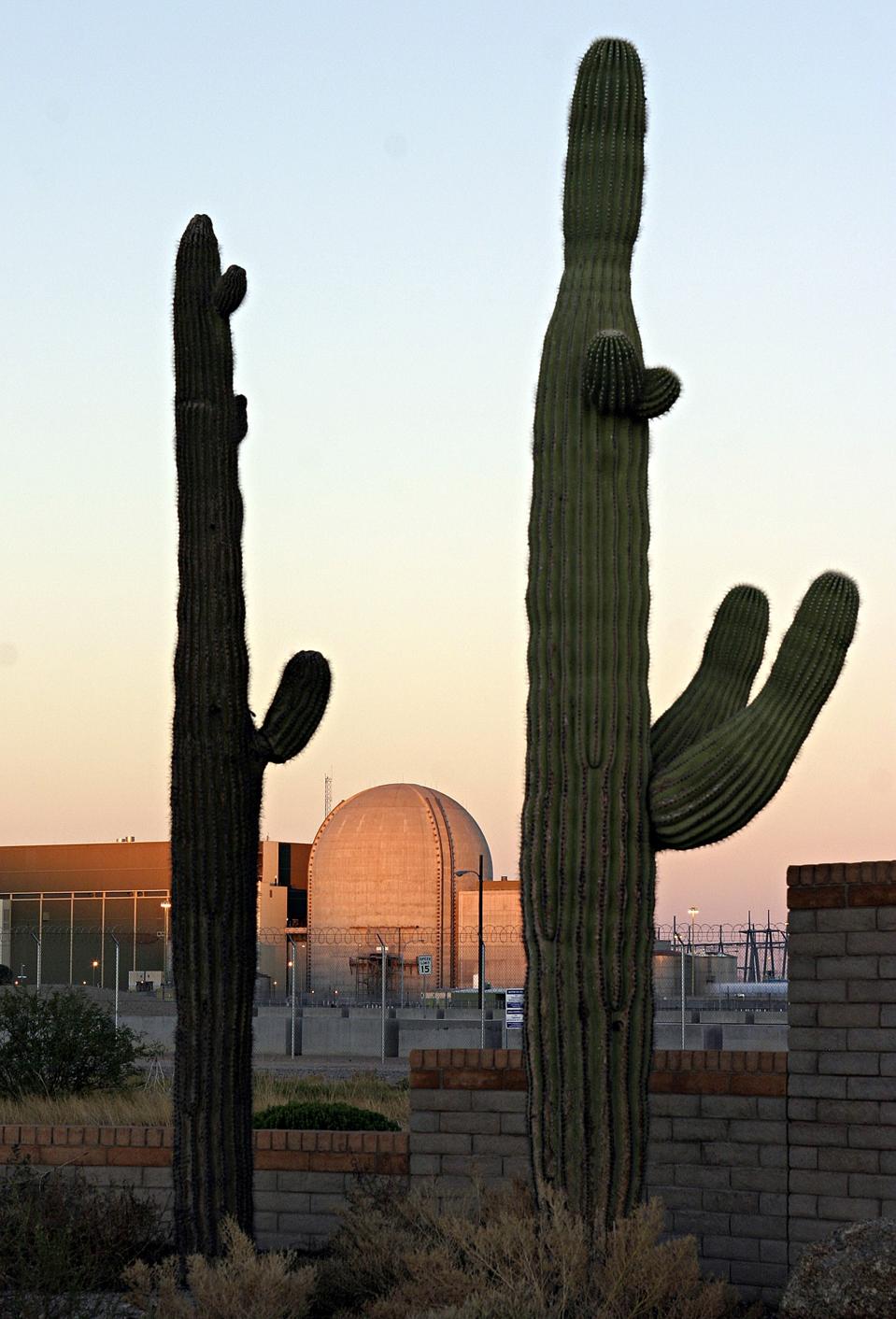 Nation's Largest Nuclear Plant To Re-Open