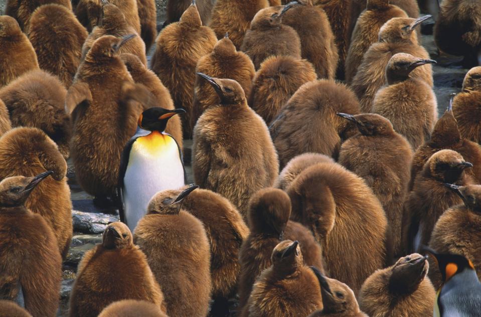 It’s not enough for your product to solve a problem. You also have to explain that solution in a way that instantly resonates with your audience. Read on to find out how.