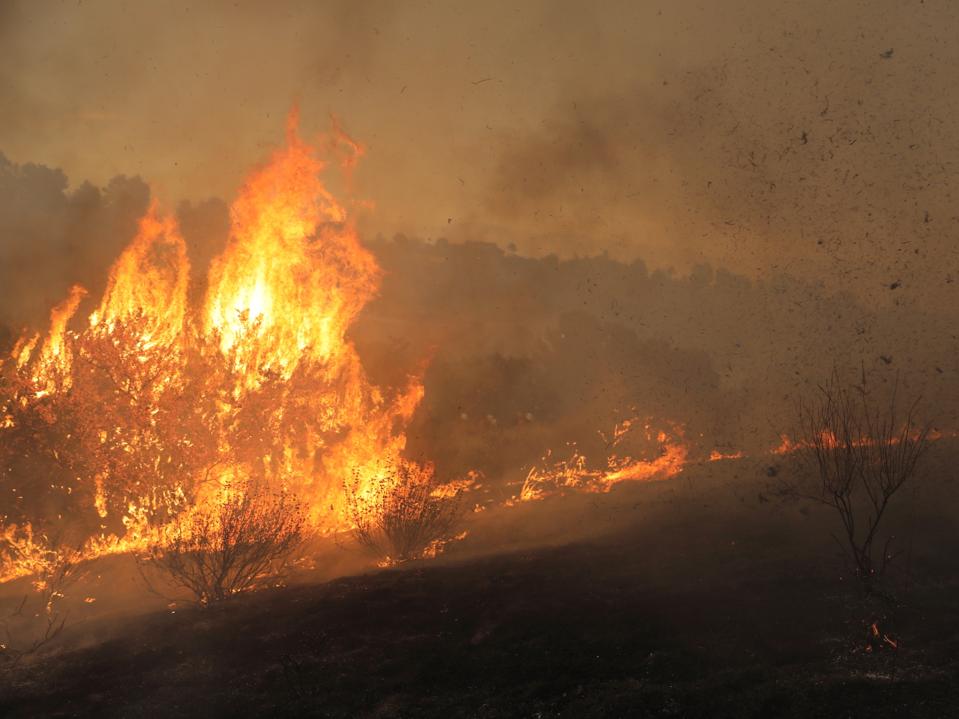 U.S.-CALIFORNIA-VENTURA-WILDFIRE