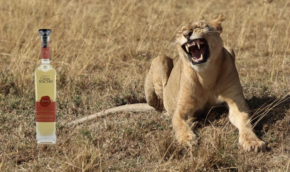 world's best tequila