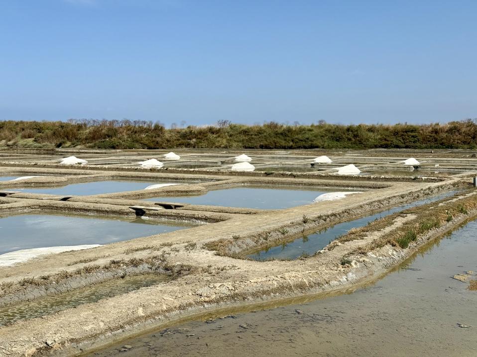 One of the pristine salt marshes that is contracted by La Baleine. You can see the daily harvest at the edge of the individual salt beds where it drains overnight before being added to the large mound called "mulon," the next day.