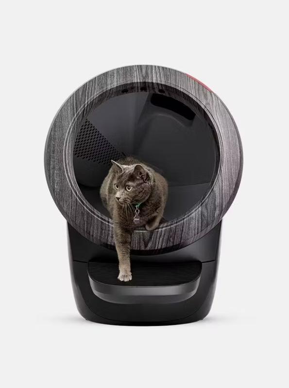 Disadvantages Of Automatic Litter Boxes 2025 Forbes Vetted