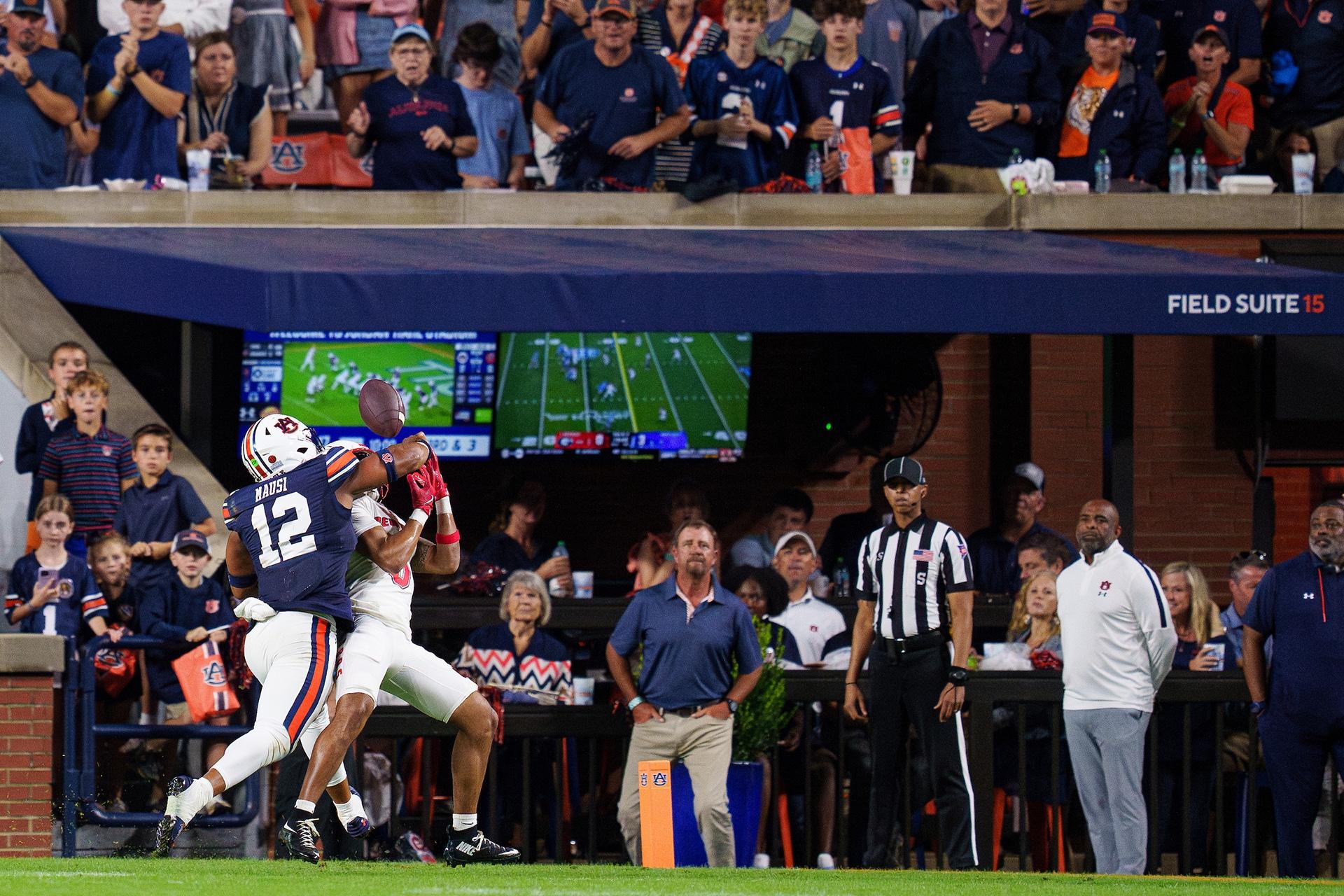 A field suite at Auburn University's Jordan-Hare Stadium.