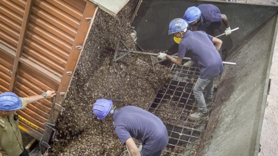 MASH Makes Pyrolysis process