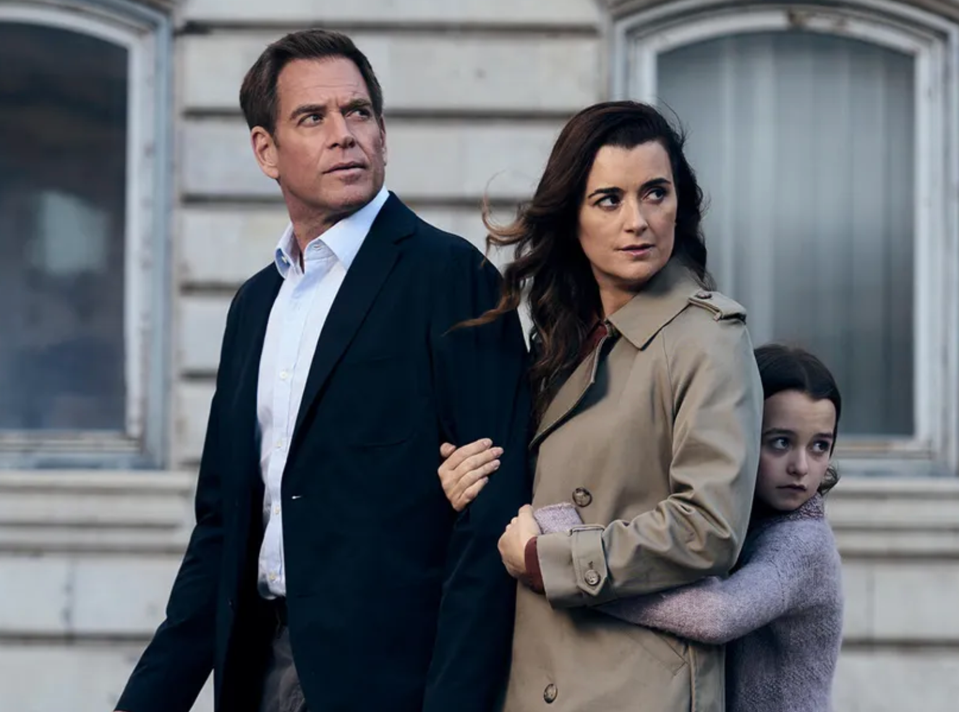 tony ziva