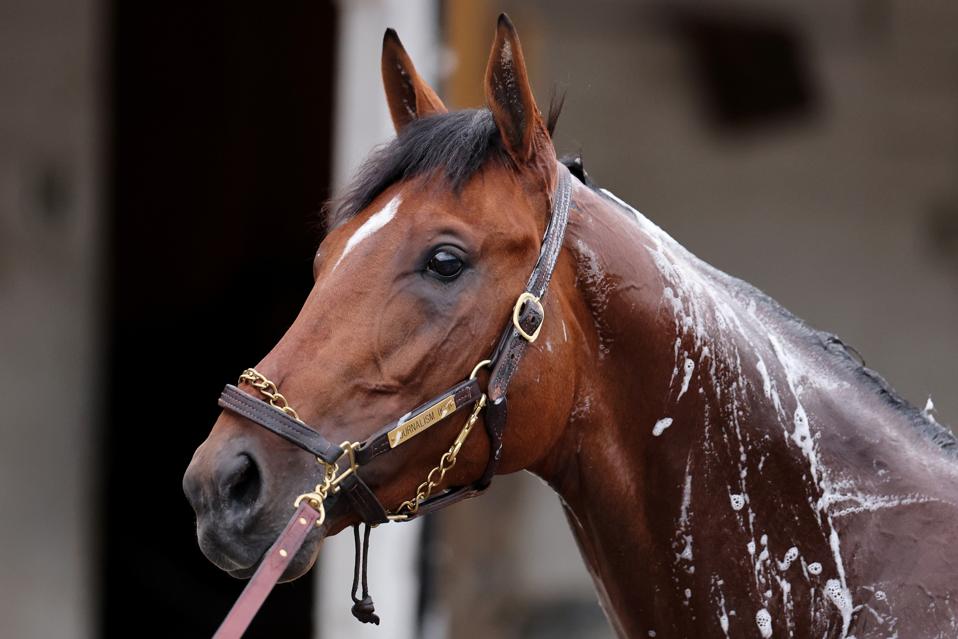 151st Kentucky Derby - Views