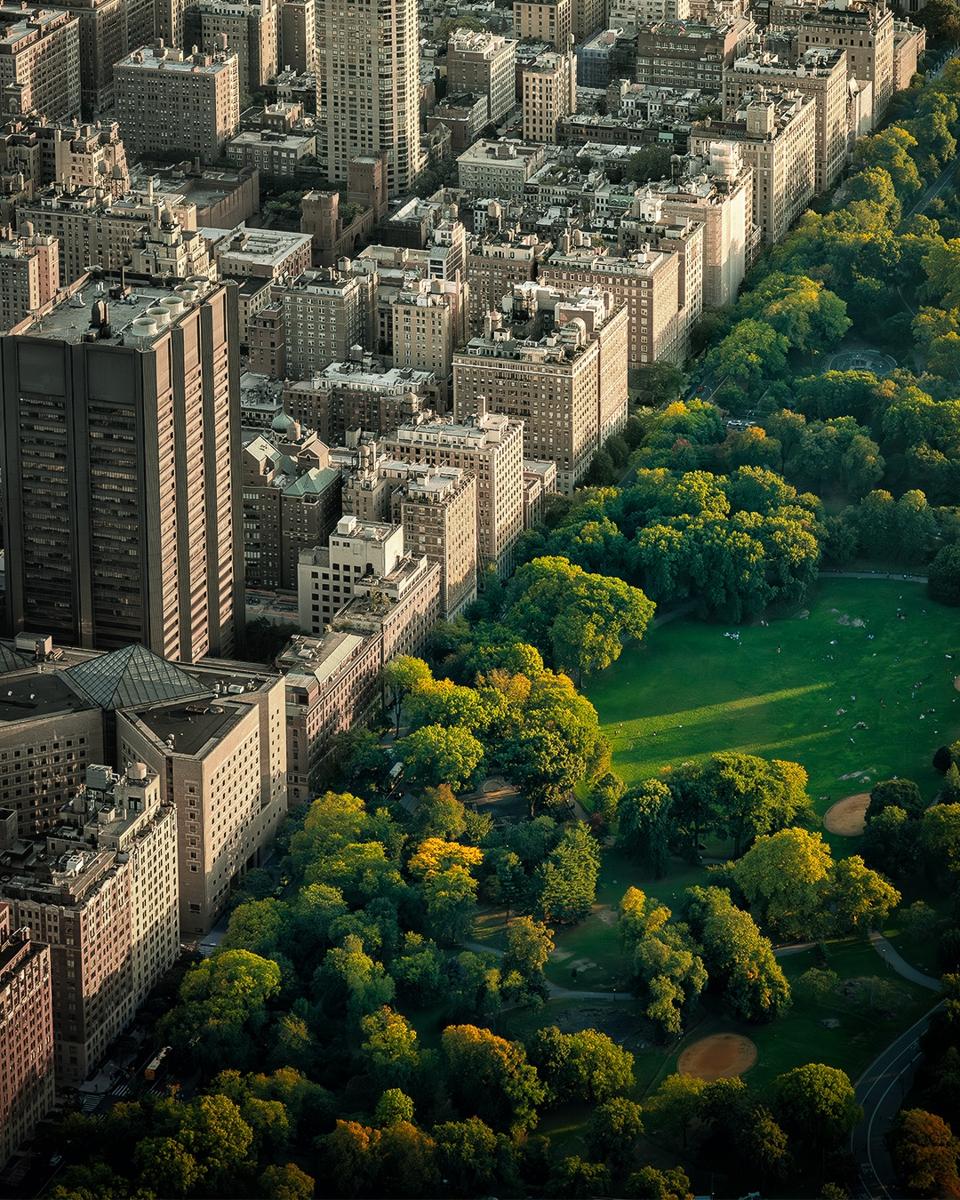 Picture of Manhattan buildings at the edge of Central Park